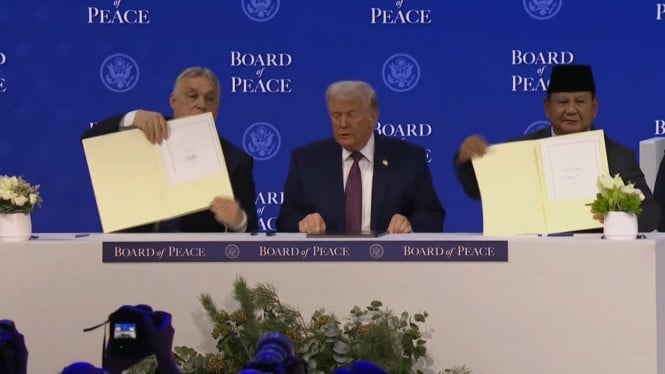 BoP Minim Legitimasi dan Berisiko, RI Harus Perjuangkan Palestina Lewat OKI