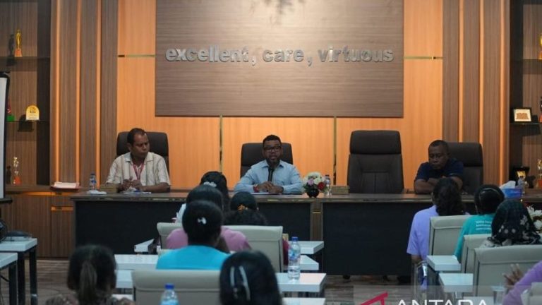 DPD RI Minta Pemkab Manokwari Tinjau Ulang Pemberhentian 235 Nakes Kontrak