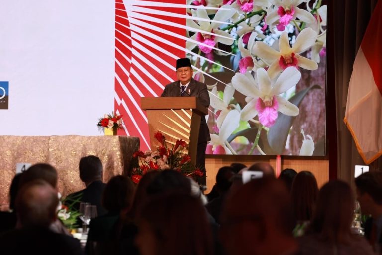 Jelang Rapat Perdana BoP, Prabowo : Kami Terus Upayakan Solusi Nyata Palestina