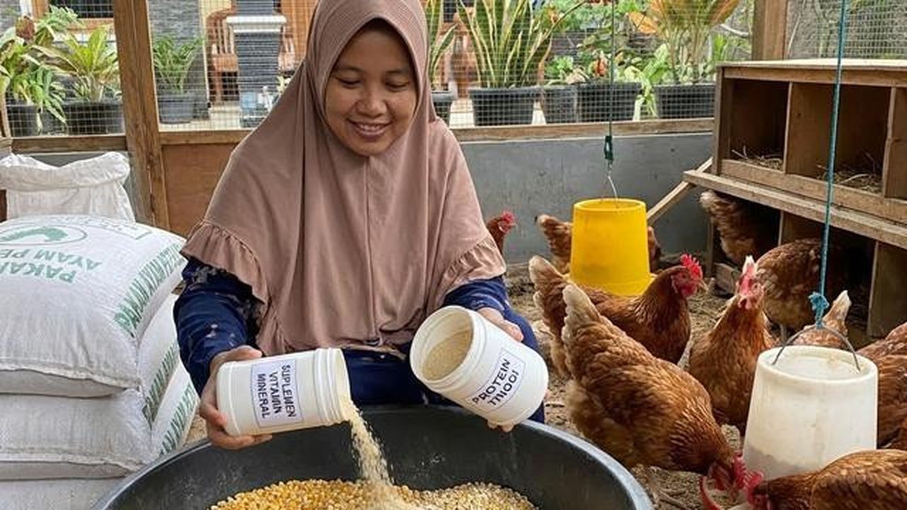 Modal Rp500 Ribu Jadi Rp3 Juta! 9 Cara Beternak di Desa untuk Pemula