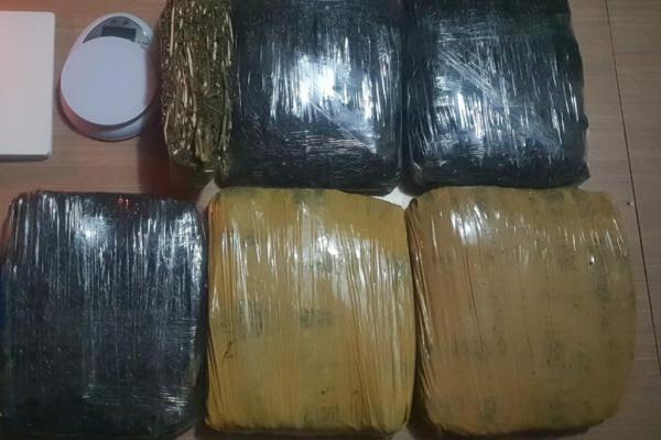 Polda Metro Gagalkan Transaksi Narkoba di Stasiun Tanah Abang, Sita 15,5 Kg Ganja