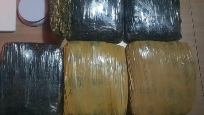 Polda Metro Jaya Tangkap 3 Pria yang Mau Edarkan Ganja 15,5 Kg