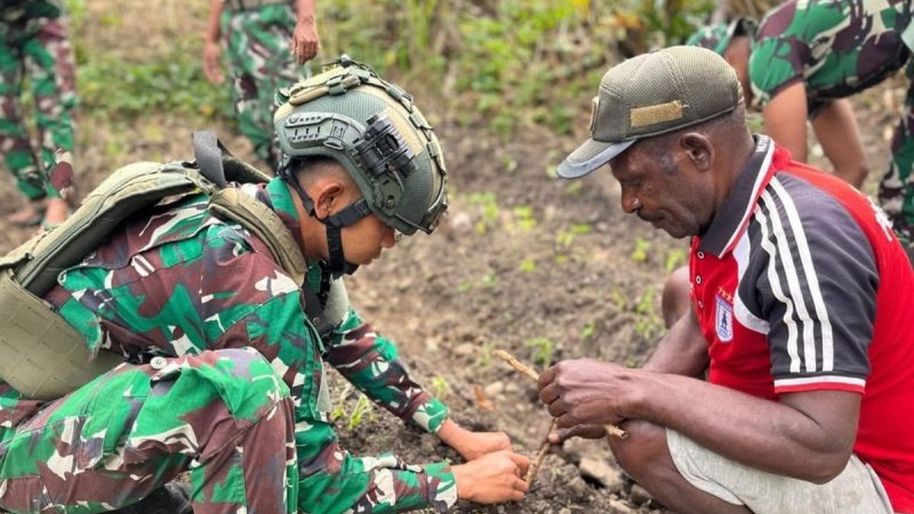 Satgas Yonif 511/DY dan Warga Kanggime Perkuat Ketahanan Pangan di Papua Pegunungan