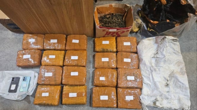 Seorang Pria Ditangkap di Parkiran Alfamart Kebon Jeruk Jakbar, Ternyata Simpan 18 Kg Ganja