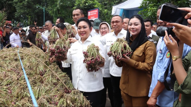 Untung Rp350 Juta Per Hektare, Titiek Soeharto: Ekspor Bawang Brebes Bisa Jadi Role Model Nasional