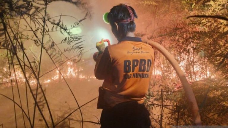 BNPB Intensifkan Pemadaman Kebakaran Lahan di Aceh dan Kalimantan Utara