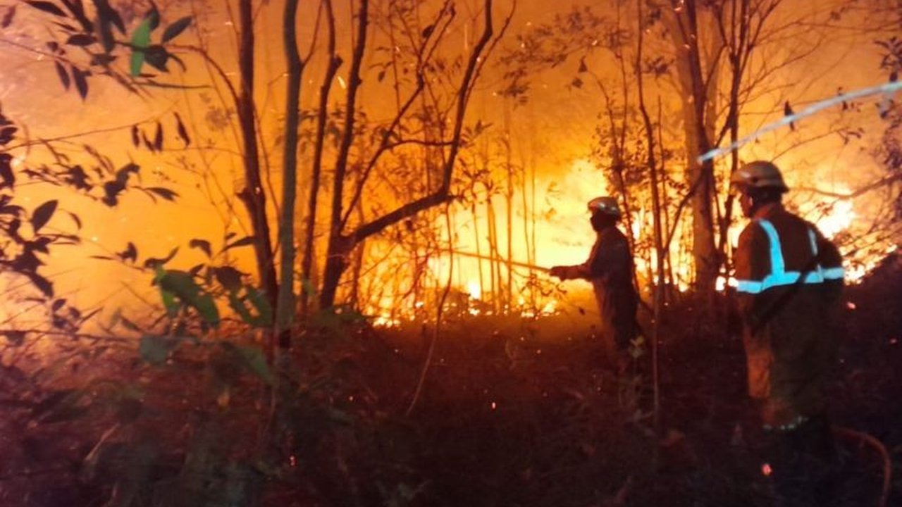 Damkar Tanjung Uban Berjuang Padamkan Kebakaran Lahan Empat Hektare hingga Malam Hari