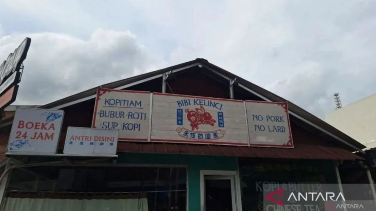 Fakta-fakta dan Kronologi Kasus Bibi Kelinci Kemang: Awalnya Lapor Pencurian, Kini Pemilik Ikut Jadi Tersangka