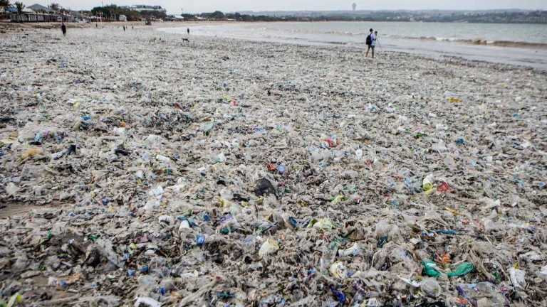 FOTO: Aksi Bersihkan Sampah di Pantai Jimbaran Bali