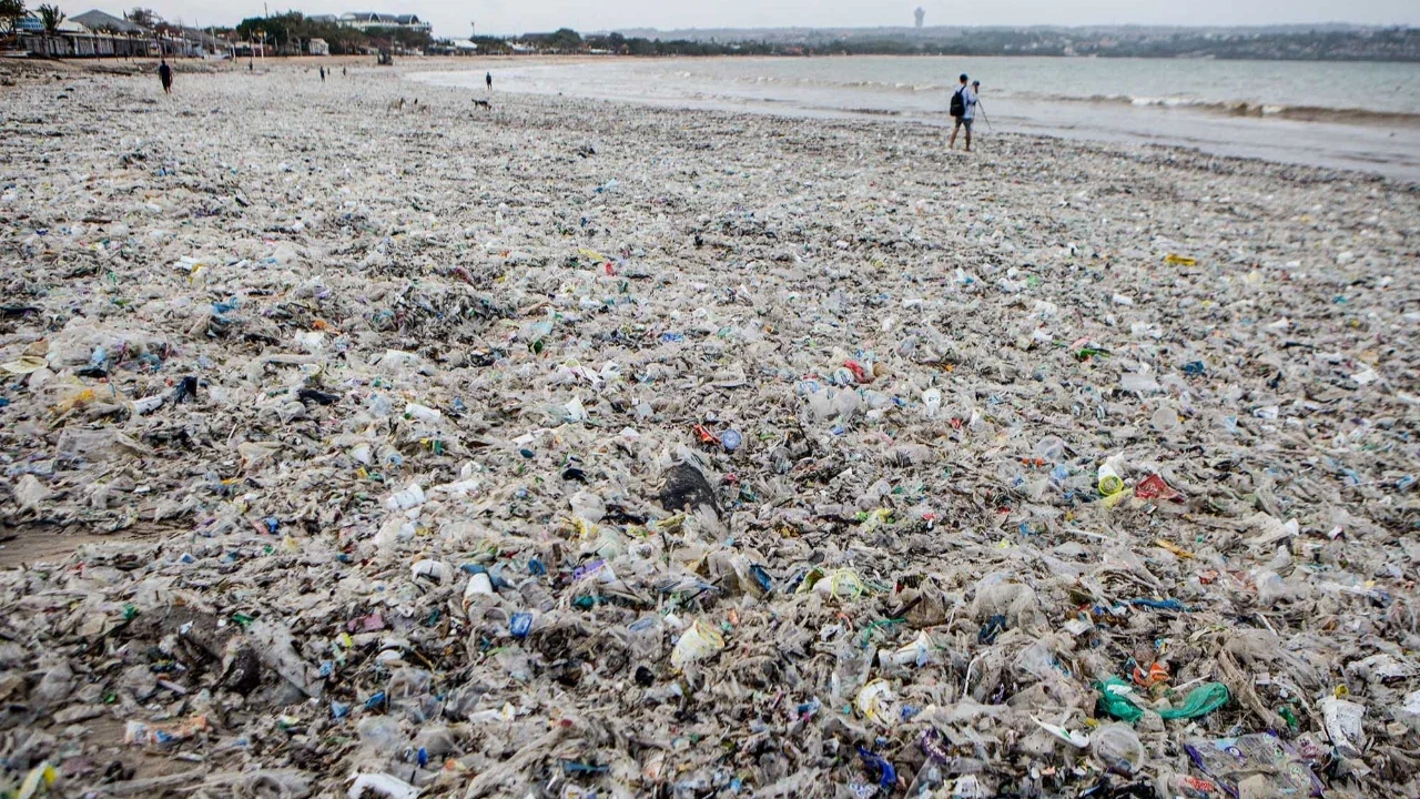 FOTO: Aksi Bersihkan Sampah di Pantai Jimbaran Bali