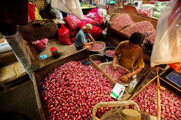 Harga Pangan Akhir Pekan: Bawang, Beras hingga Minyak Goreng Kompak Naik