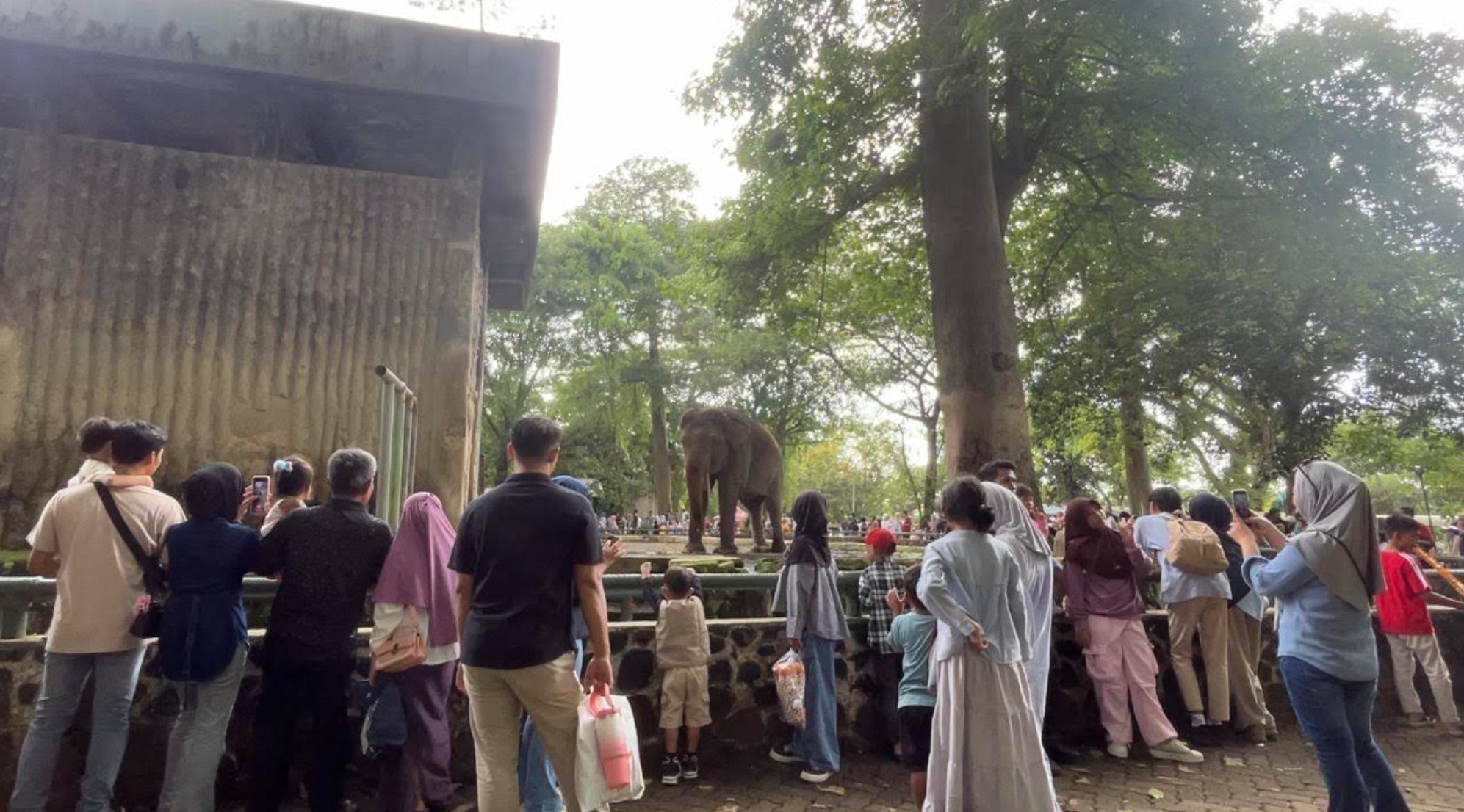 Hari Kedua Lebaran, Taman Margasatwa Ragunan Dipadati 30 Ribu Pengunjung