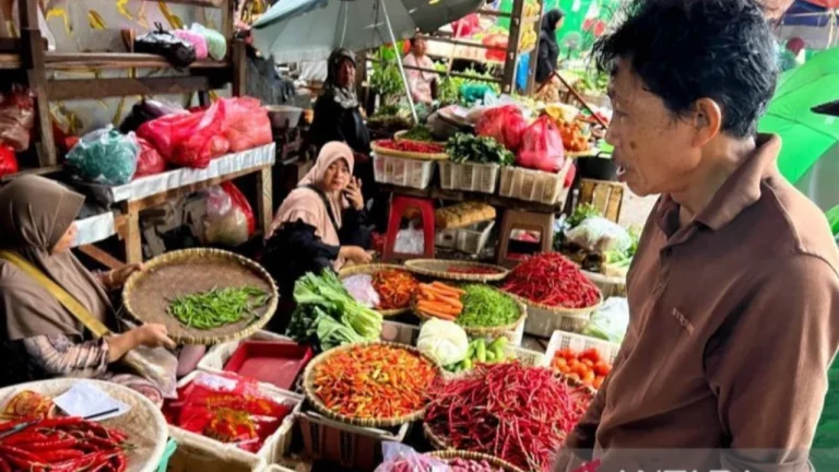 Kendalikan Harga Selama Ramadan, Pemerintah Boyong 10 Ton Cabai Rawit ke Jakarta