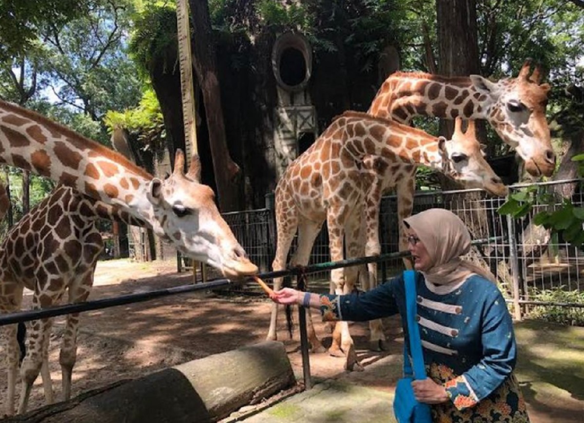 Ragunan Tutup di Hari Pertama Lebaran, Buka Lagi Besok