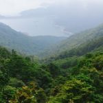 Permenhut 6/2026 Terbit, Perdagangan Karbon Hutan Wajib Libatkan Masyarakat Sekitar