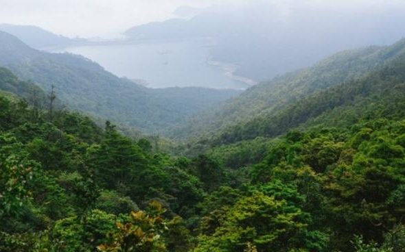 Permenhut 6/2026 Terbit, Perdagangan Karbon Hutan Wajib Libatkan Masyarakat Sekitar